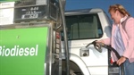 Ampol, GrainCorp $3b biodiesel plant hinges on federal fuel blend mandate