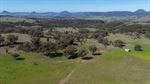 Cattle breeding property with additional lifestyle, conservation bonus