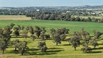 Warrengunyah an outstanding 1503 acre farming and grazing property | Video
