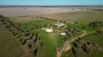 Expertly managed Berragoon delivers broadacre farming excellence | Video