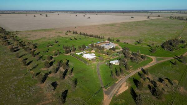Expertly managed Berragoon delivers broadacre farming excellence | Video
